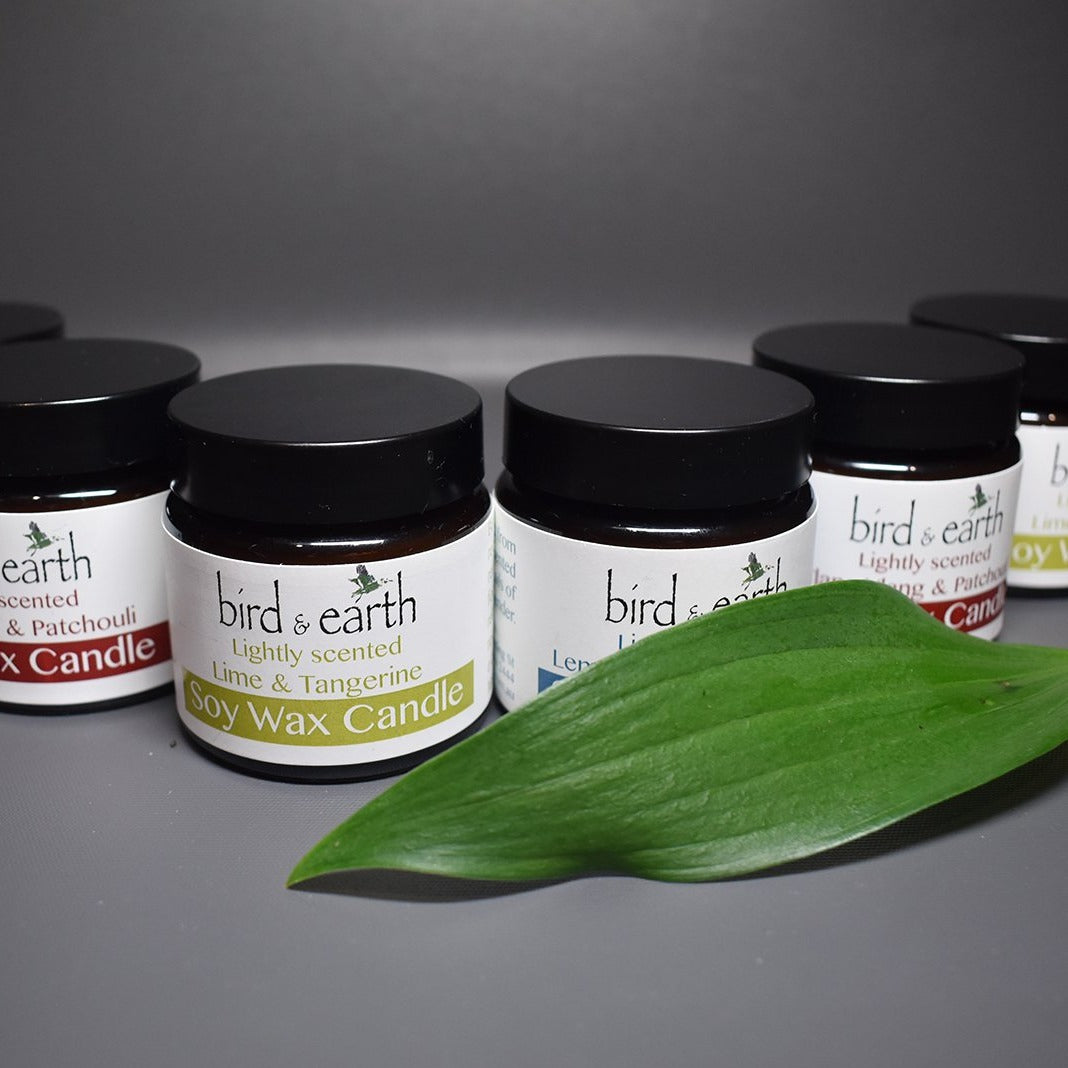 Soy Wax Candles - Lightly scented (limited stock, available until sold out) - Bird and Earth